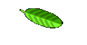 Petzold family