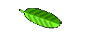 Spring2