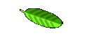 Spring3